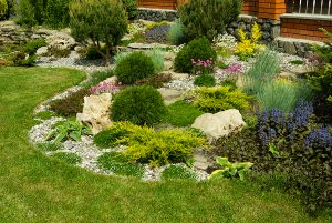 Native Plants Sacramento Landscape Design – FiveSTAR Landscape ...